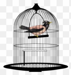 Bird Cage Png Transparent Image - Bird In Cage Png Transparent,Cage Transparent