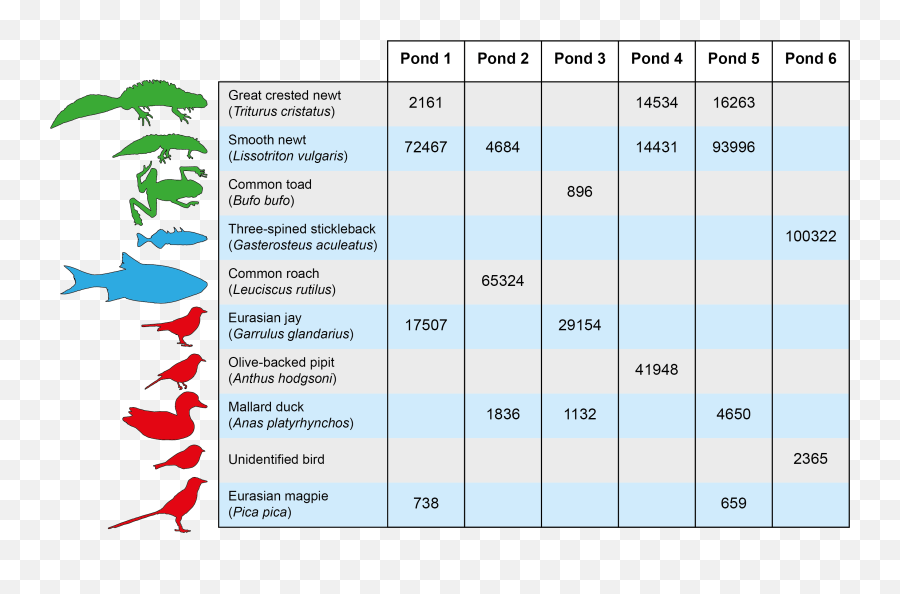 Download Hd Mitigation Pond Otu Table 01 No Bg - Number Number Png,Pond Png