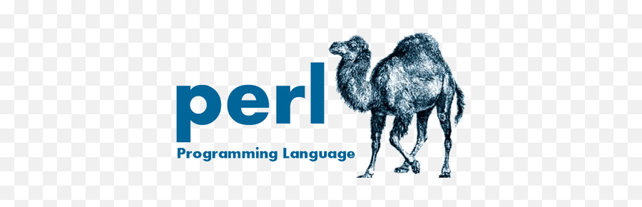 Perl Scripting Tutorial - Perl Language Logo Png,Perl Icon