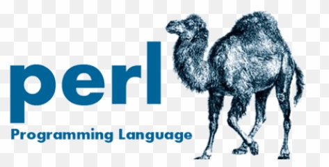 Perl Scripting Tutorial - Language Logo Png
