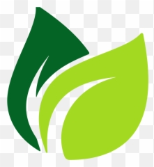 Tabassum Author - Transparent Vector Tea Leaf Png