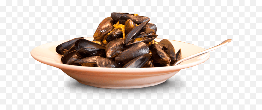 Mussel Transparent Background Png Mart - Mussels Transparent Background,Scarce Png
