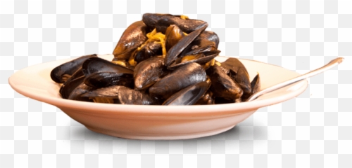 Mussel Transparent Background Png Mart - Mussels Transparent Background,Scarce Png