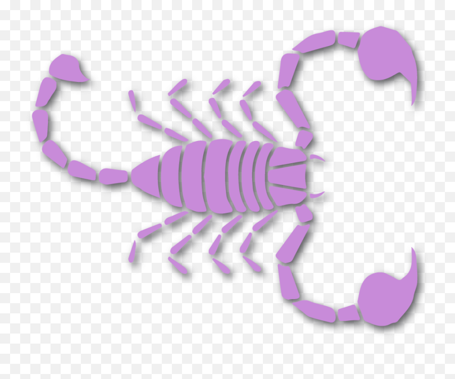 Yung Scorp Consulting - Scorpion Png,Scorpions Icon