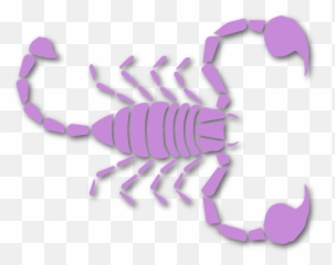 Yung Scorp Consulting - Scorpion png