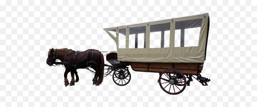 Free Photo Return Arrow Paragraph Carriage Next Line Text - Western Horse Drawn Carriage Png,Horse And Buggy Icon