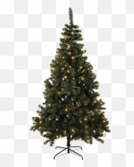 Download Hd Christmas Tree W Led Twinkle - Evergreen png