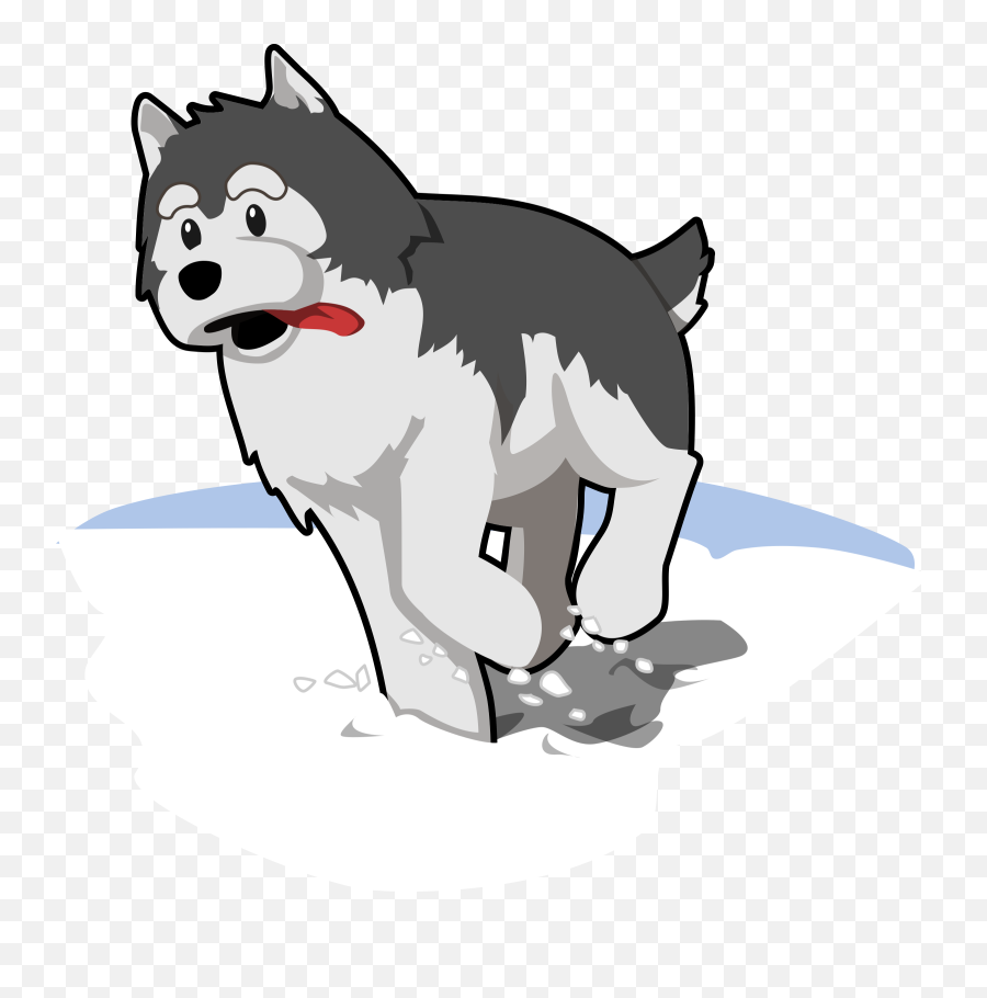 Husky Dog Pet - Dog Husky Running Png,Husky Png