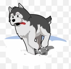 Husky Dog Pet - Dog Husky Running Png,Husky Png