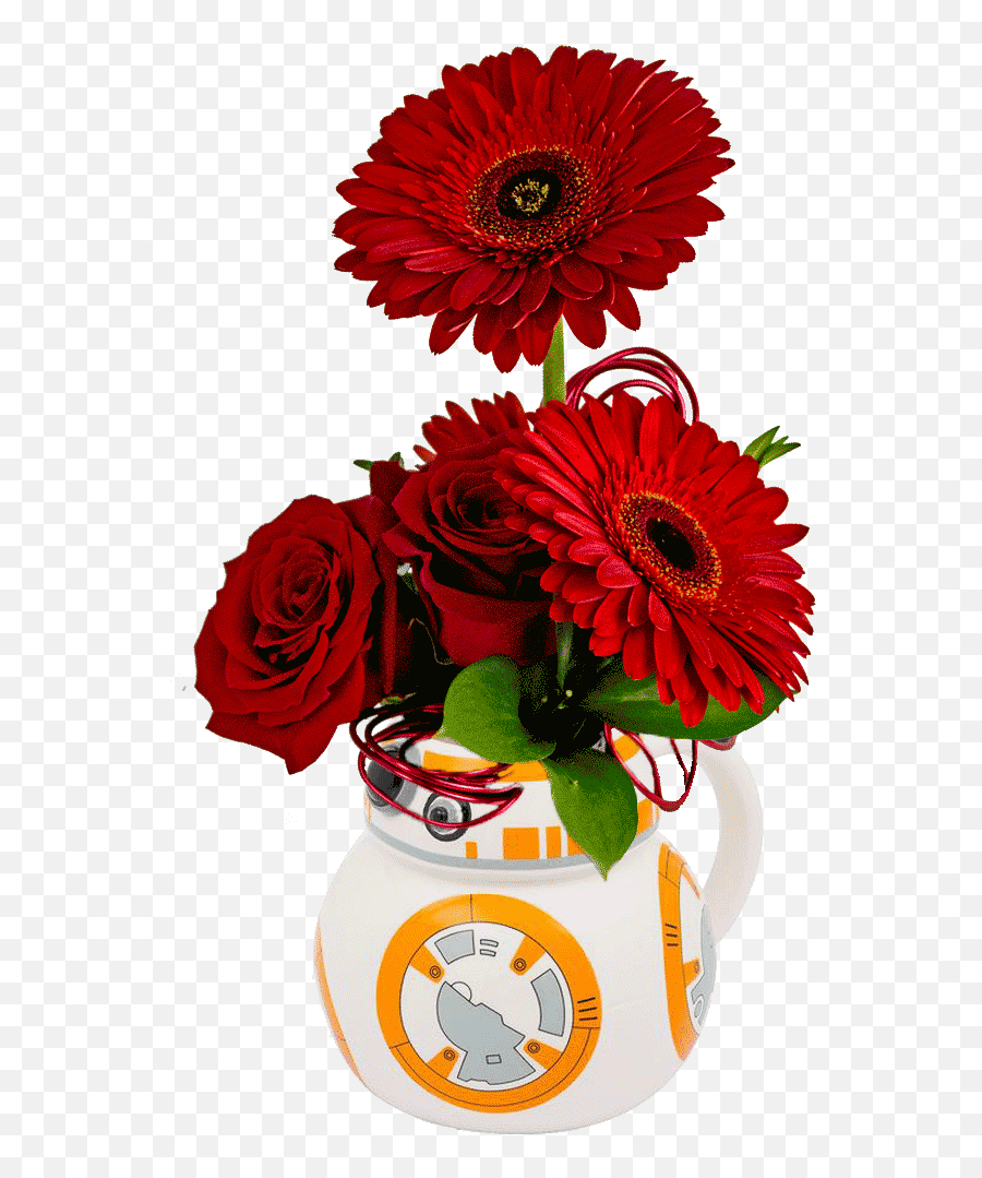 Star Wars Bb Barberton Daisy Png - 8 Png