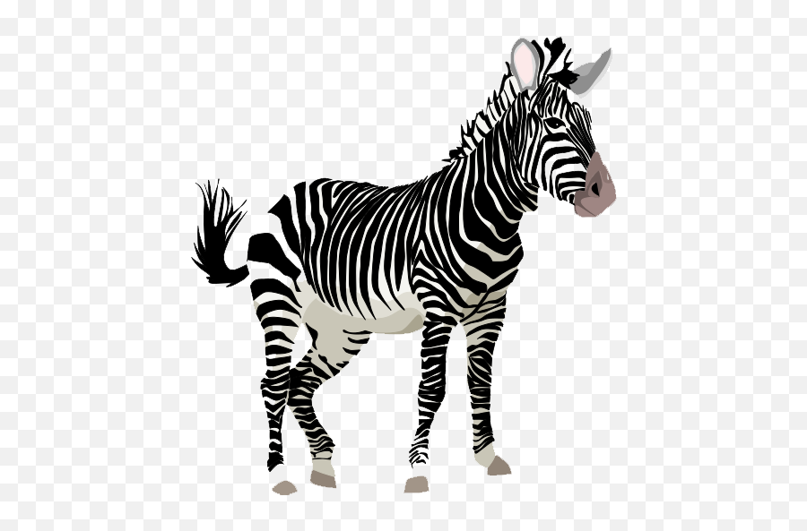Download Zebra Png Clipart - Zebra Clipart,Zebra Transparent Background
