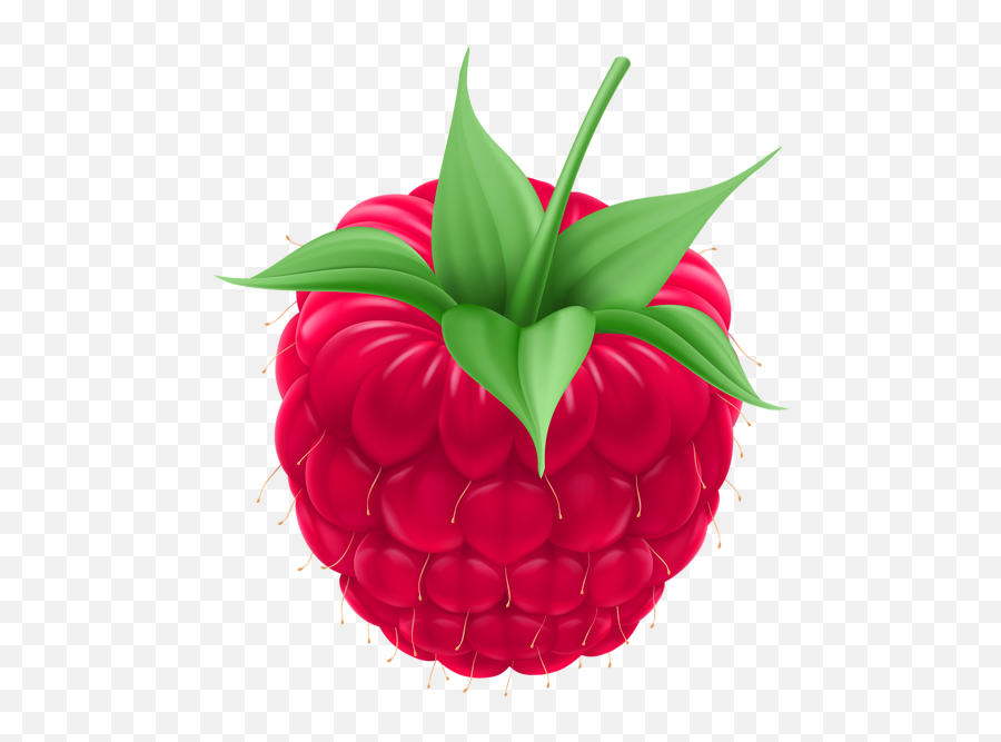 Raspberry Png Clip Art Image - Raspberry Clip Art Png,Raspberries Png