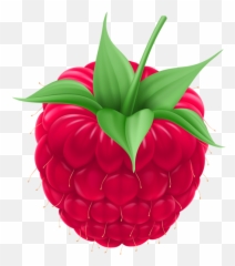 Raspberry Png Clip Art Image - Raspberry Clip Art Png,Raspberries Png