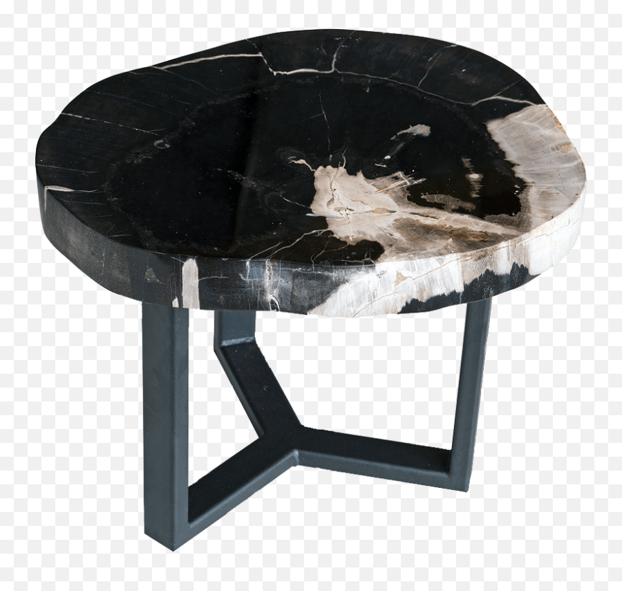 Petrified Wood Side Tables Unik Living - Unique Tables End Table Png,Side Table Png