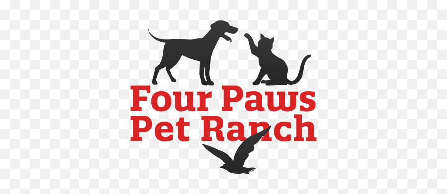 Four Paws Pet Ranch - Pet Boarding Dog Daycare Grooming Hunting Dog Png,Pet Logo