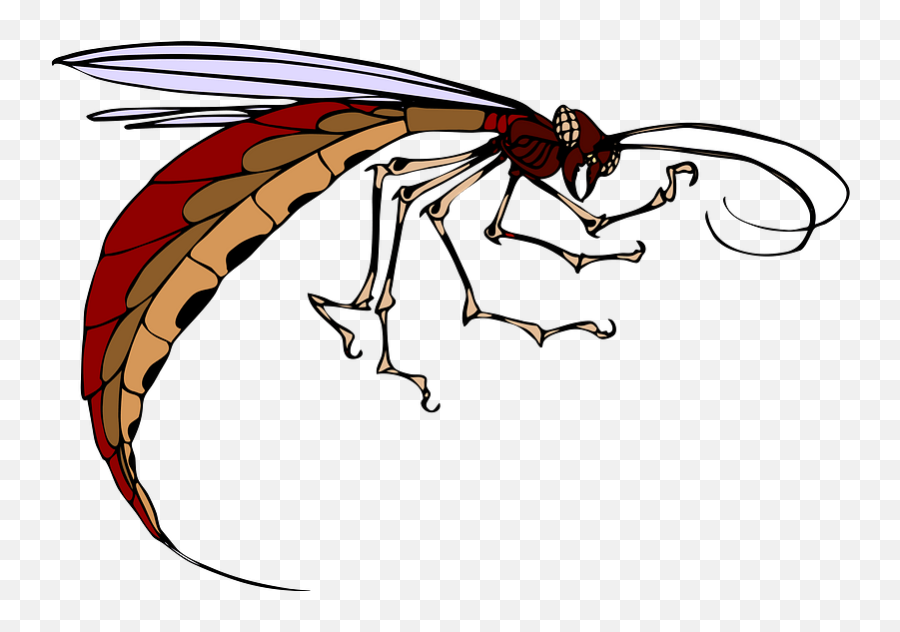 Hornet Clipart Free Download Transparent Png Creazilla - Insect Clip Art,Hornet Png