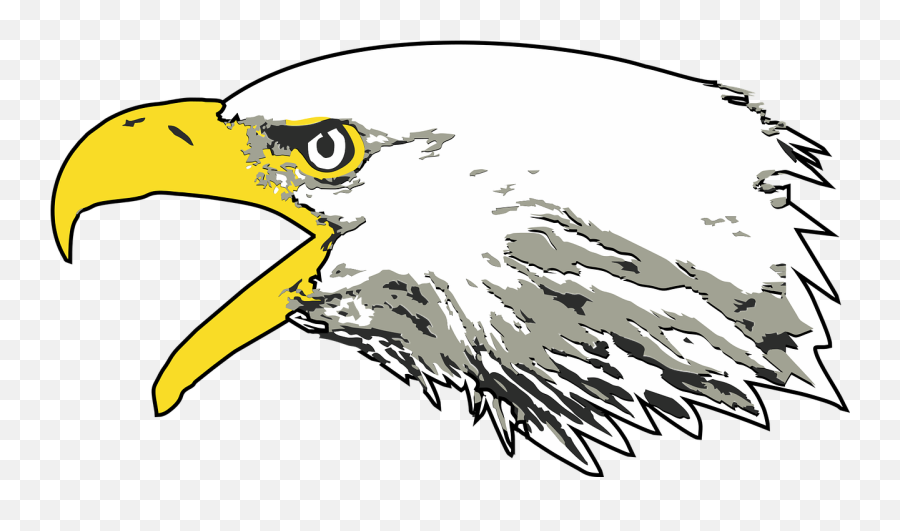 Eagle Bald Screaming - Free Vector Graphic On Pixabay Screaming Eagle Png,Bald Eagle Head Png