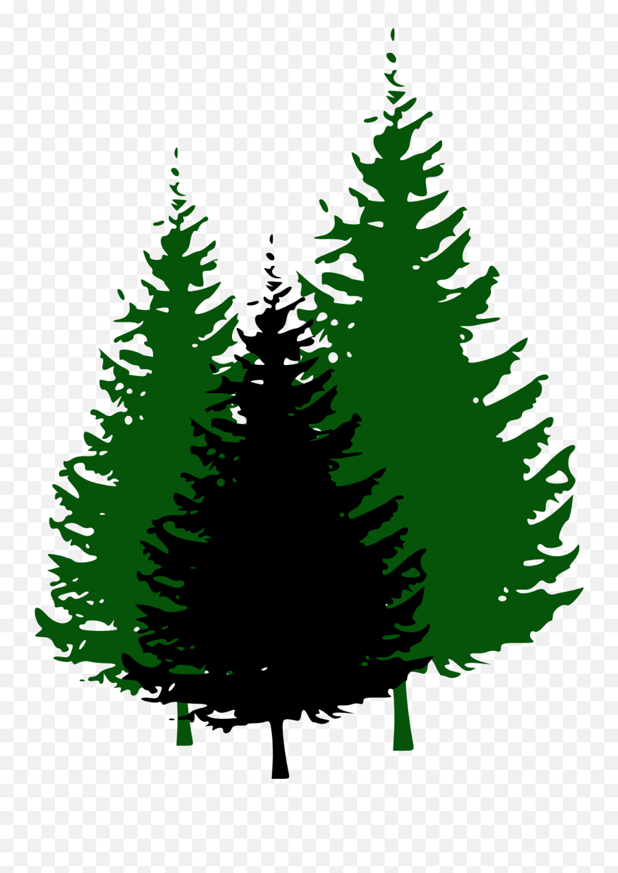Green Christmas Tree Silhouettes - Clipart Pine Tree Silhouette Png,Forest Silhouette Png