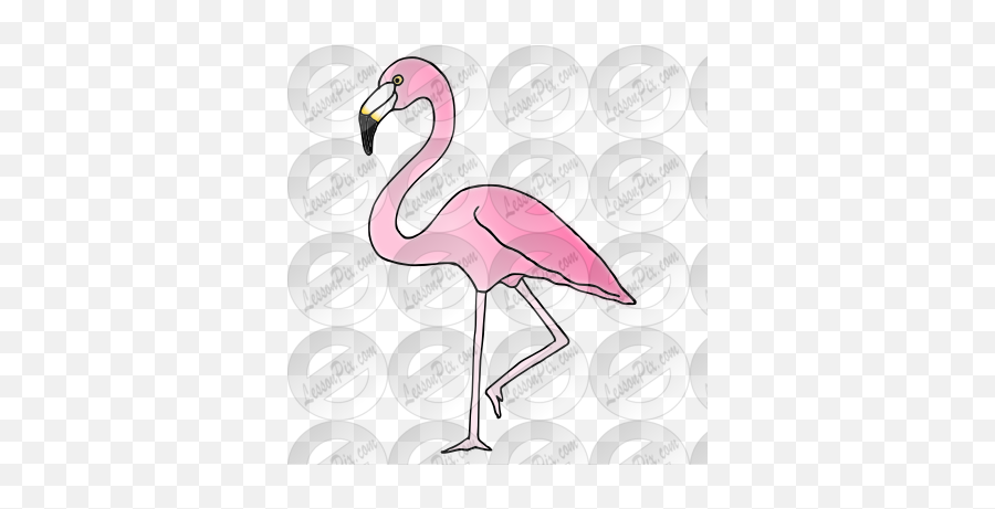 Flamingo Picture For Classroom Therapy Use - Great Greater Flamingo Png,Flamingo Clipart Png