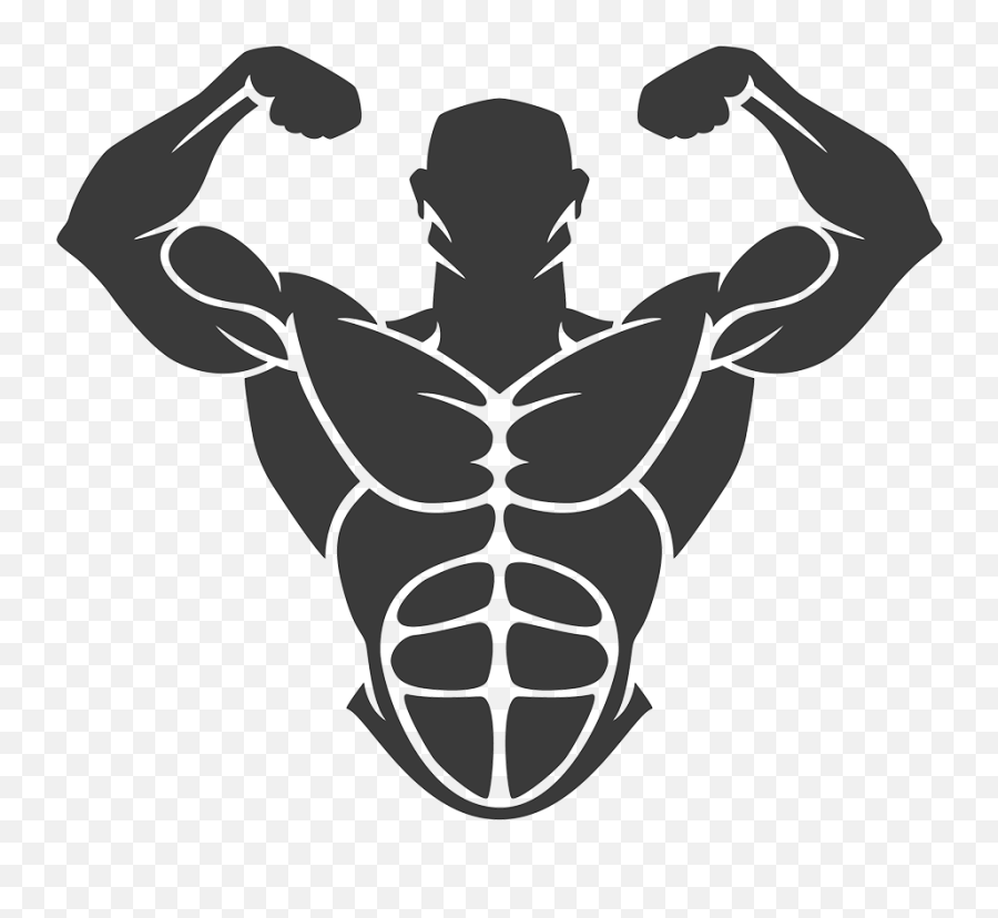 Muscle Hypertrophy Png U0026 Free Hypertrophypng - Vector Body Builder Png,Muscle Png