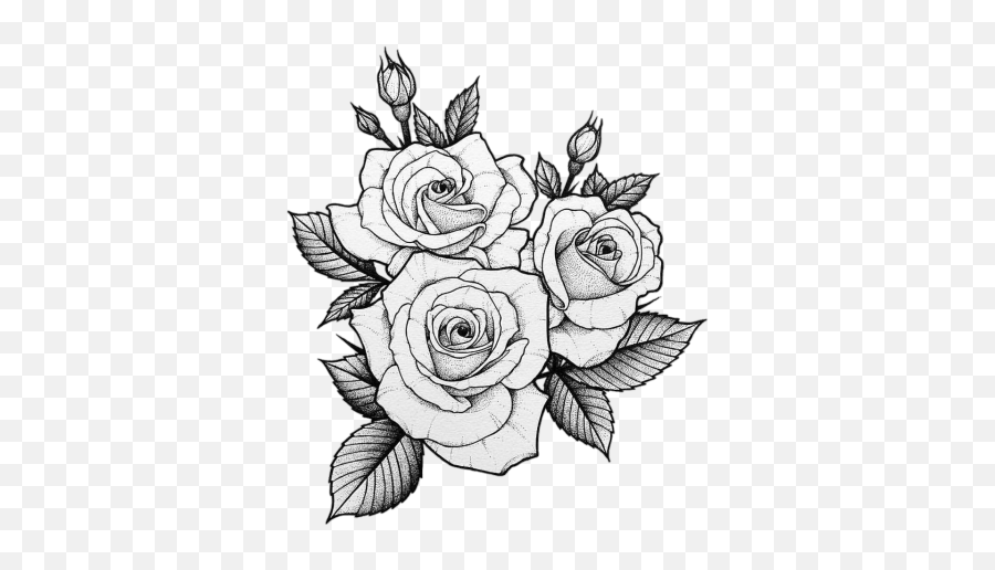Rose Png Transparent Image - Png 1239 Free Png Images Rose Drawing Tattoo,Black Roses Png