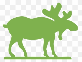 Moose Animal Antlers - Clip Art png
