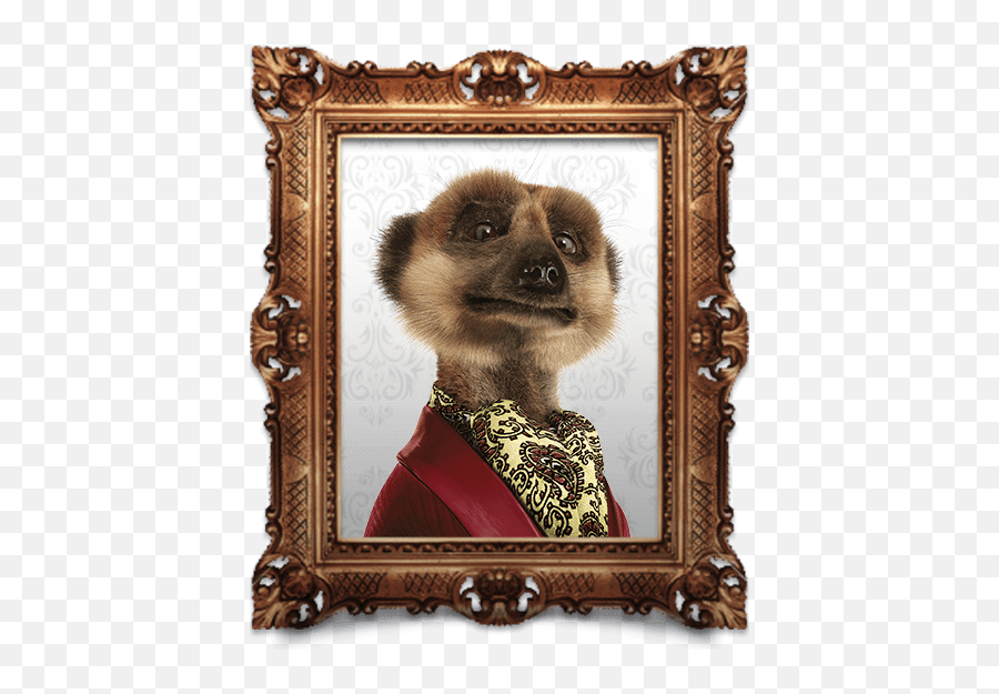 Meet Aleksandr Compare The Market - Aleksandr Compare The Meerkat Png,Meerkat Png