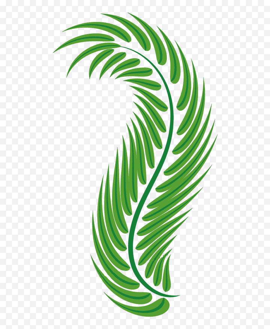 Vector Free Stock Palm Leaf Green Arecaceae Easter - Spiral Easter Leaf Graphic Png,Palm Tree Leaves Png