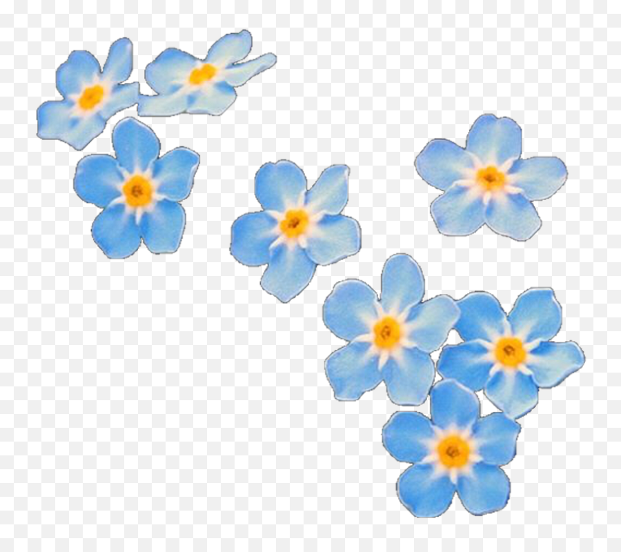 Blue Flowers Png Tumblr 1 Image - Forget Me Not Png,Blue Flowers Png
