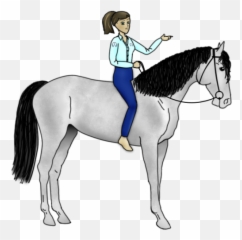 Coherent Horsemanship - Bridle Png,Horse Rider Icon