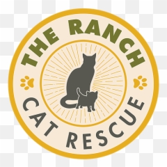 Home - Black Cat png