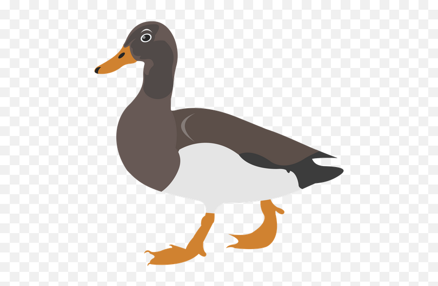 Free Duck Icon Of Flat Style - Available In Svg Png Eps Domestic Duck,Donald Duck Icon