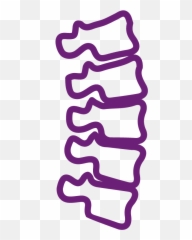 Less Invasive Surgery Evolve Your Practice Nuvasive - Coluna Vertebral Png Desenho
