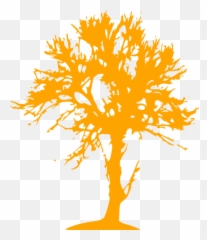 Orange Tree 48 Icon - Free Orange Tree Icons Illustration Png,Orange Tree Png