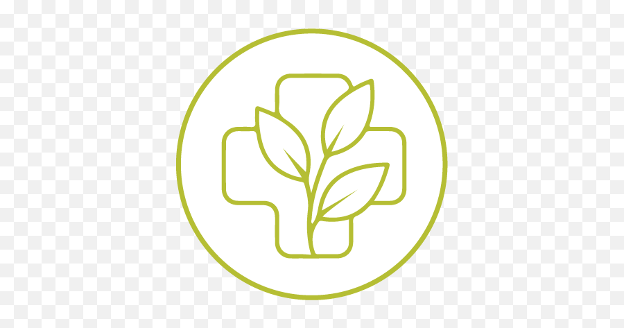 Functional Medicine - Zenspot Language Png,Functional Medicine Icon