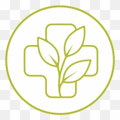 Functional Medicine - ZenSpot Language png