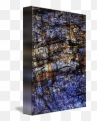 Tree Bark Abstract - Visual Arts Png,Tree Bark Png
