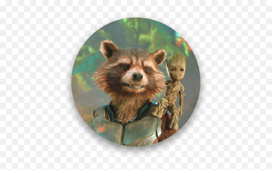 How Well Do You Know The Marvel Cinematic Universe - Rocket Guardians Of The Galaxy Png,Baby Groot Icon
