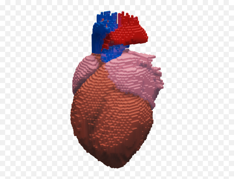 Download Hd Heart Attack Symptoms Icon Transparent Png Image - Landfowl,Symptoms Icon