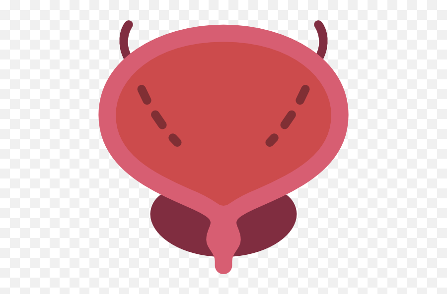 Free Icon Bladder Png