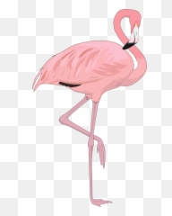 Png Flamingo - Transparent Background