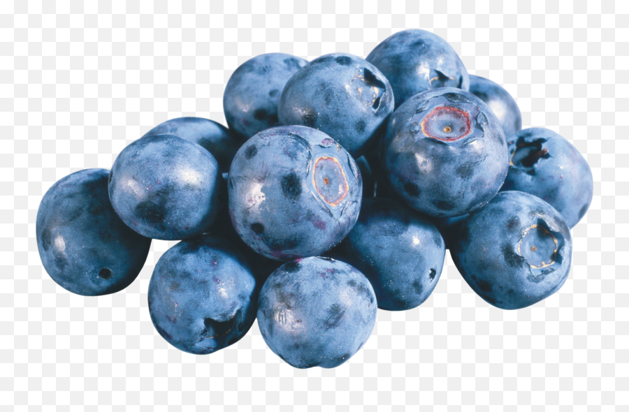 Blueberries Png Images Free Download - Black Currant And Blueberry,Berries Png
