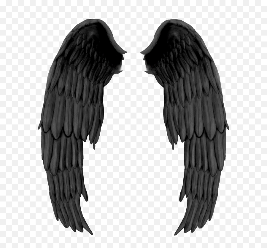 Demon Wings Png Images Collection For - Petronas Towers,Wing Png