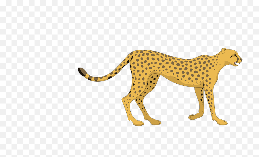Cheetah Png Clipart Free Library - Cheetah Clipart Png,Cheetah Png