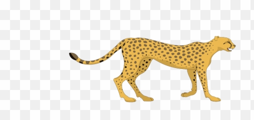 Cheetah Png Clipart Free Library - Cheetah Clipart Png,Cheetah Png