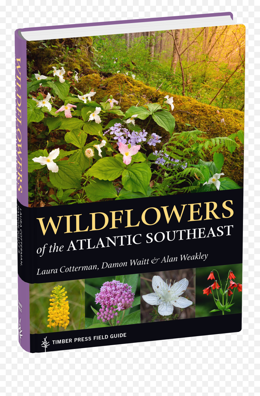 Wildflowers Of The Atlantic Southeast - Wildflower Png,Wild Flowers Png