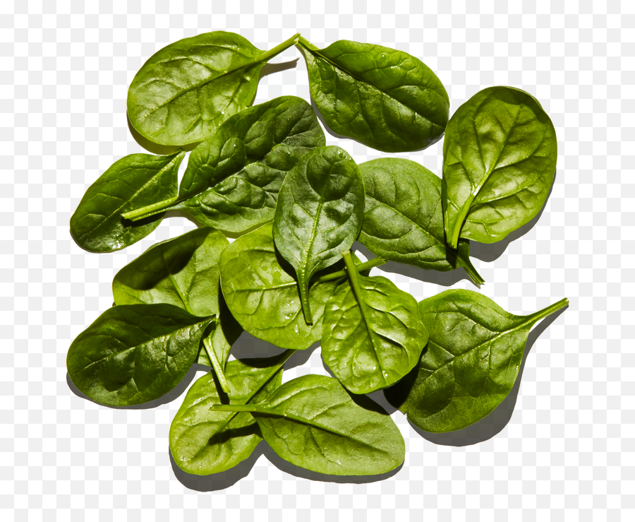Baby Spinach - Houseplant Png,Spinach Png