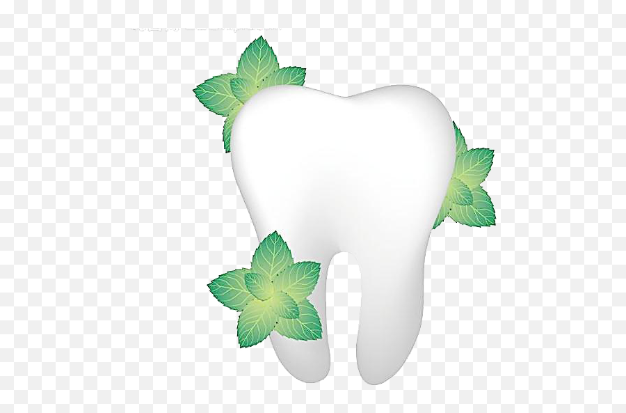 Single Teeth Png Image Transparent - Single Teeth Png,Teeth Png