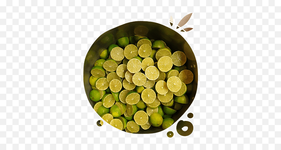 Limes - Key Lime Png,Limes Png