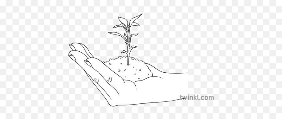 Plant Growing In Hand Black And White Illustration - Twinkl Plant Growing Black And White Png,Growing Plant Png